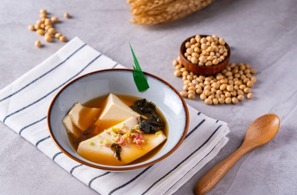 豆乳 豆乳サクサクかりんと しお 100g×20 ｜おとうふ工房いしかわ